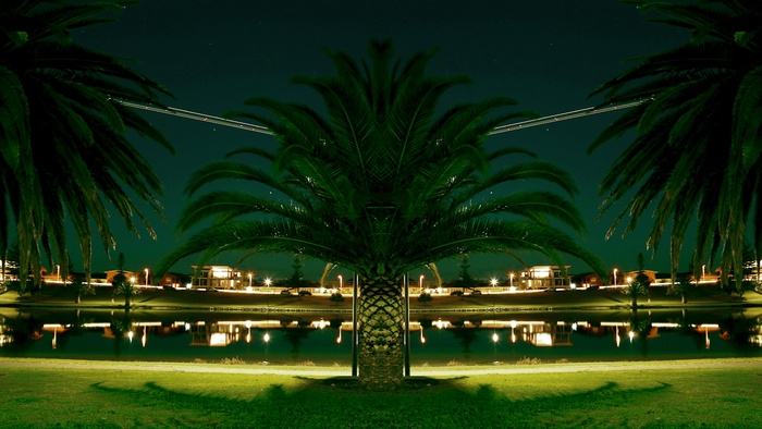 棕榈树，灯笼，湖岸，池塘，公园，夜