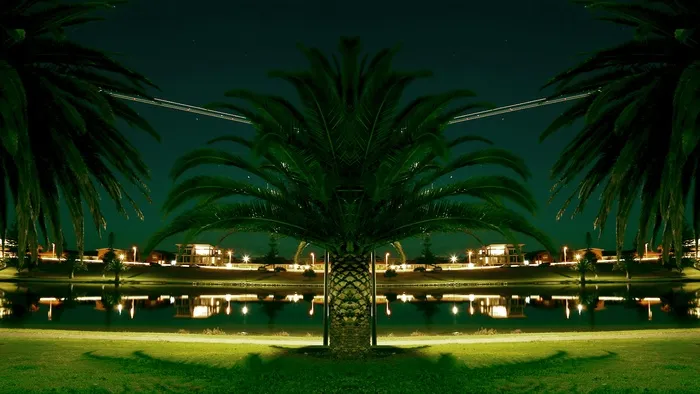 棕榈树，灯笼，湖岸，池塘，公园，夜