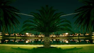 棕榈树，灯笼，湖岸，池塘，公园，夜