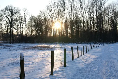 寒冬,雪,冷 寒冬,雪,冷