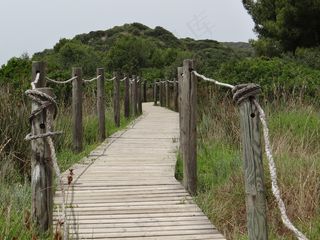 网络，自然保护区，景观，浮桥，心情，桥梁