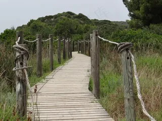 网络，自然保护区，景观，浮桥，心情，桥梁