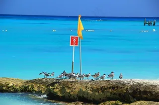 海滩，蓝色，国旗，海，性质，哥斯达黎加，景观