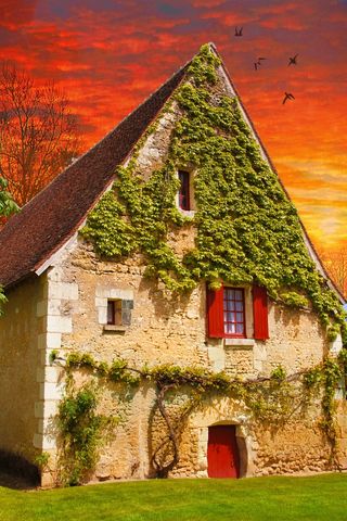 房子，农村，农村