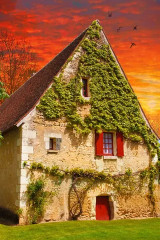 房子，农村，农村