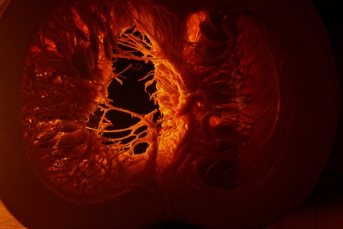 南瓜，食品，宏，蔬菜，健康，新鲜