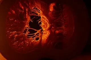 南瓜，食品，宏，蔬菜，健康，新鲜