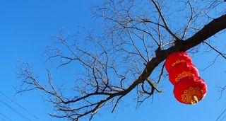 灯笼，中国红，喜庆