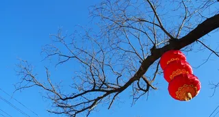 灯笼，中国红，喜庆