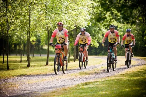 山地自行车，骑自行车，自行车，山，运动，骑自行车