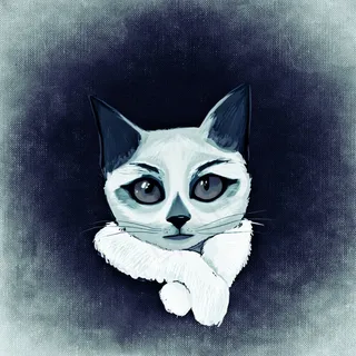 猫，动物，滑稽，Mieze，家猫