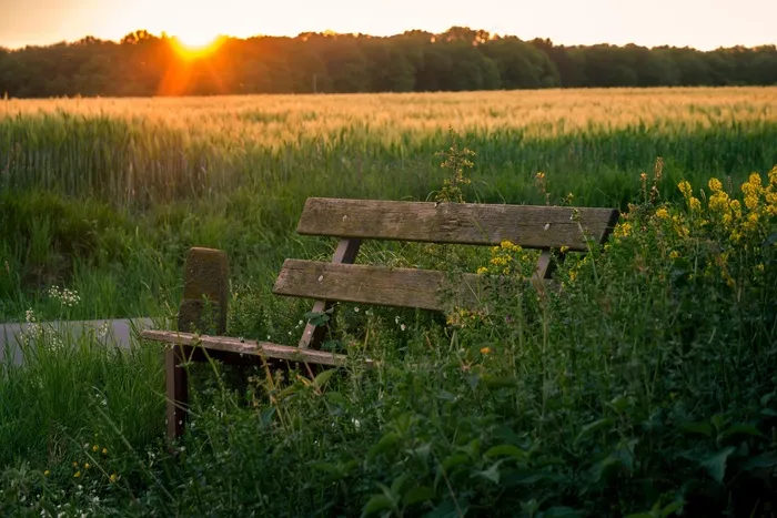 银行，日落，Abendstimmung，大麦，大麦场
