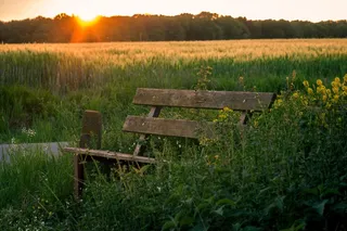 银行，日落，Abendstimmung，大麦，大麦场