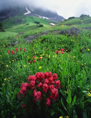 乌雷，科罗拉多州，景观，自然，画笔