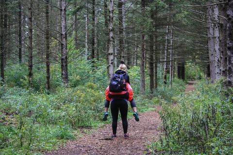 猪背，妇女，女孩，徒步旅行者，背包客，迷航，路径