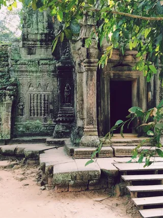 建筑，结构，步骤，石头，叶子