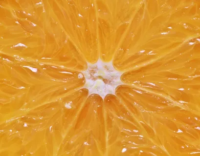 橙色，柑橘类水果，纸浆，多汁，甜，水果，弗里施