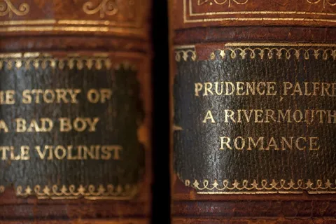 本书，老，古董，酿酒，纸，复古，封面