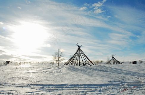 冬天，荒凉，白色，自然，弗罗斯特，户外