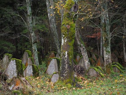 军事公墓，坟墓，老，离开，公墓，法国