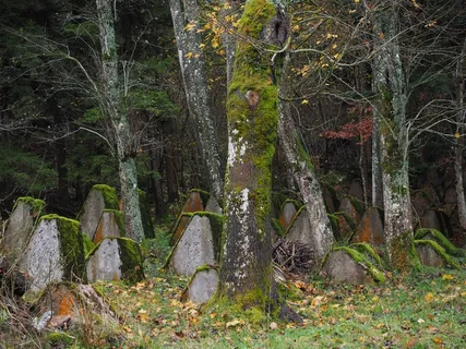 军事公墓，坟墓，老，离开，公墓，法国