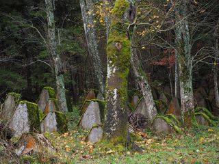 军事公墓，坟墓，老，离开，公墓，法国