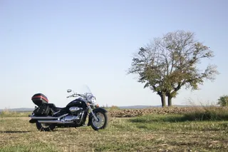 摩托车，铃木，入侵者，黑色，停放，场，新