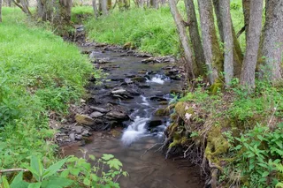 巴赫，模糊，长时间曝光，森林，Naturschutzgebiet