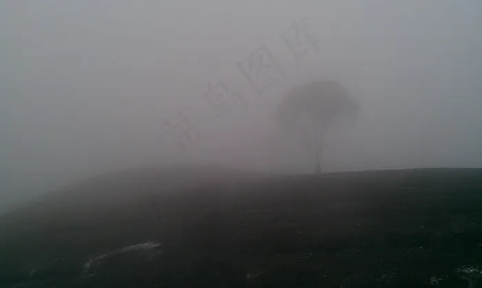 阴霾，云团，小山，树，山，夜景