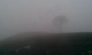 阴霾，云团，小山，树，山，夜景