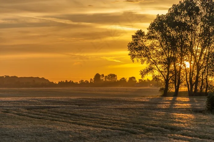 日出，场，自然，景观，早晨，照明