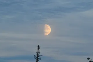 月亮，月光，夜，蓝色，午夜，天文学