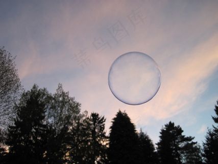 肥皂泡，微光，天空，树木，森林，飞，多彩