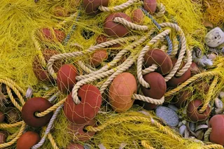 渔网，钓鱼，港口，水，码头，菲舍尔，靴子