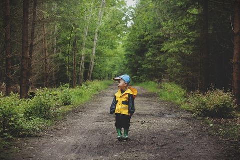 儿童，男孩，路径，行走，孩子，蹒跚，可爱