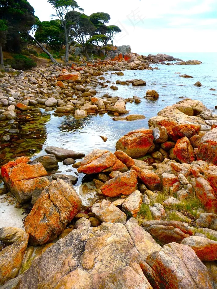 海岸线，海滩，海洋，太平洋，特写，洛基