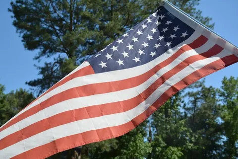 国旗,美国国旗,树 国旗,美国国旗,树