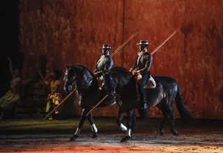 马，马，Garrocha，Apassionata