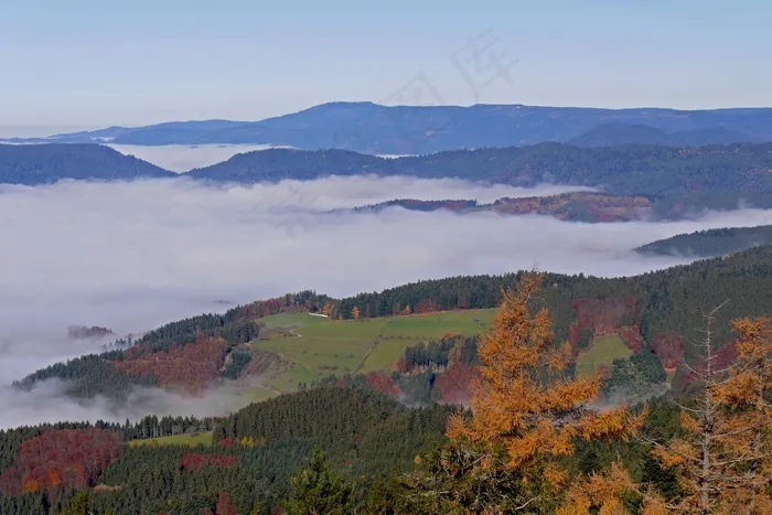 黑森林，秋天的颜色，Herbstnebel，秋天的颜色