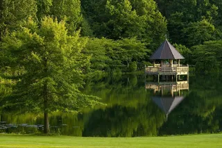 公园，绿色，夏天，自然，风景，环境