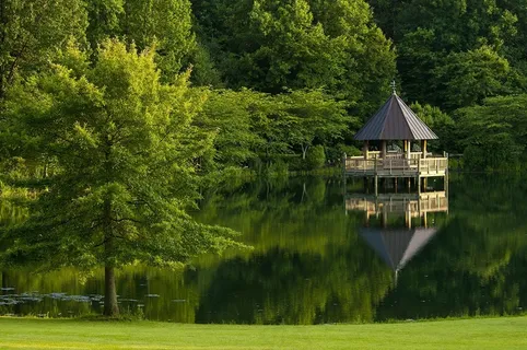公园,绿色,夏天,自然,风景,环境 公园,绿色,夏天,自然,风景,环境