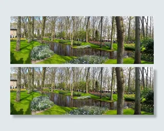 公园，鲜花，春天，自然，绿色，花园，户外