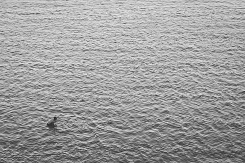 水，涟漪，人，沐浴，游泳，表面