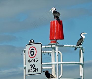 ,,坐，展望，澳大利亚，海