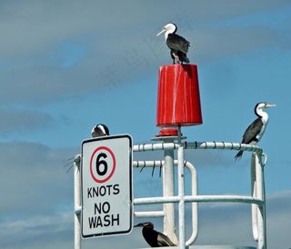 ,,坐，展望，澳大利亚，海