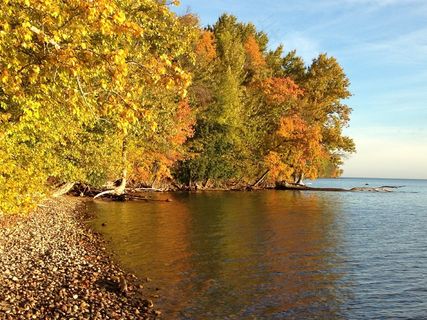 秋，水，湖，镜像，性质，颜色，森林