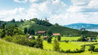 景观，葡萄藤，教堂，葡萄酒，自然