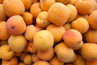 杏，水果，橙色，背景，食品，橙色水果