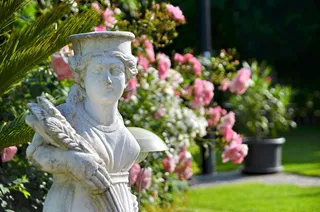 无花果，雕像，花园侏儒，花园，粘土图