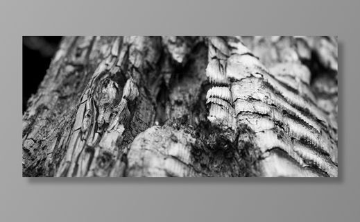 木材，木炭，烧，纹理，木，灰